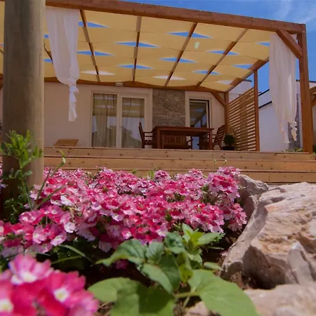 Tatil parkı Mobile Homes Pine Tree *